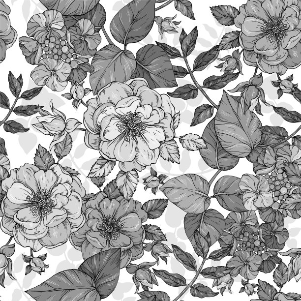 黑白相间的夏季花无缝图案图片下载
