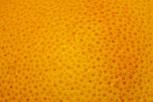 一个红柚子的果皮特写图片下载