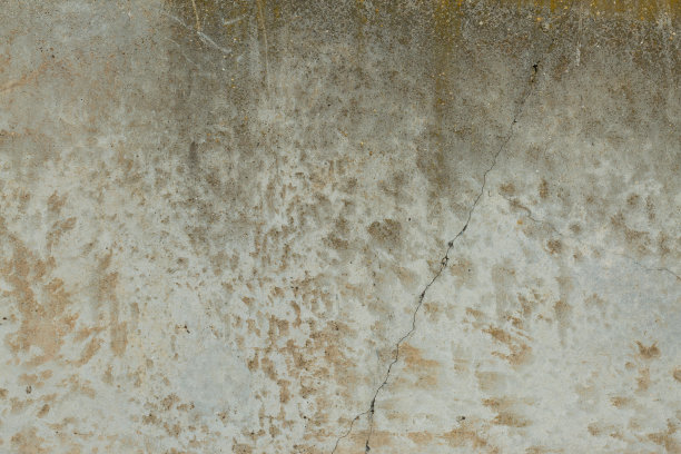 石棉板岩纹理混凝土覆盖地衣和苔藓，工业材料天然水泥图片下载