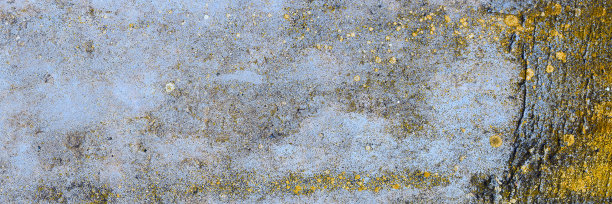 石棉板岩纹理混凝土覆盖地衣和苔藓，工业材料天然水泥图片下载
