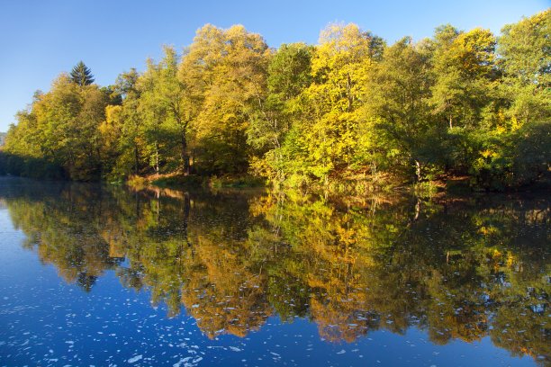 俄勒河和秋景森林映湖图片下载