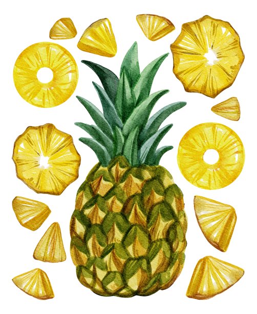 水彩手绘菠萝和切片插画。用于卡片，印刷，海报，模板，纺织，背景，菜单，商店，广告图片下载