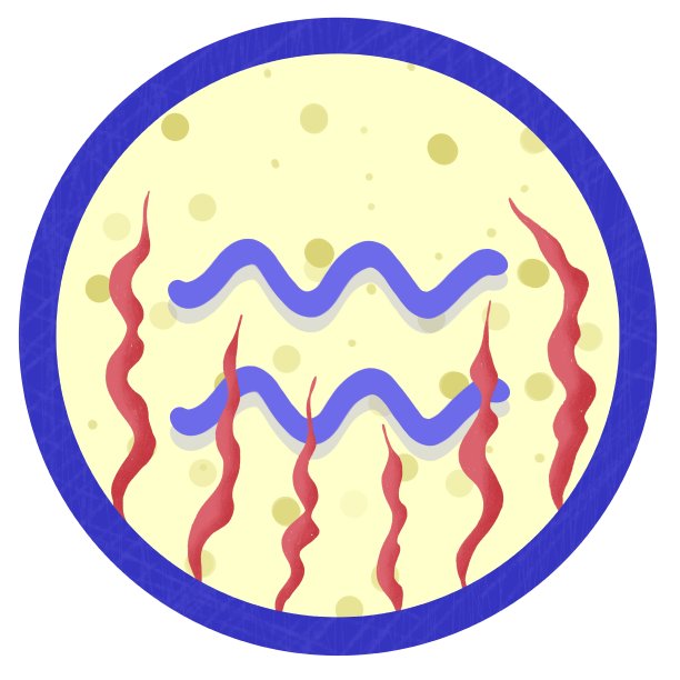 黄道星座:水瓶座图片下载