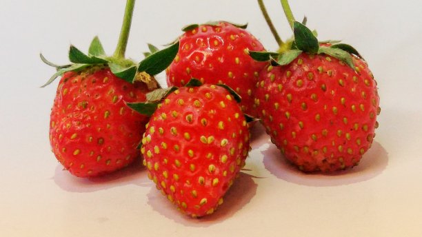 从花园采摘的红草莓图片下载