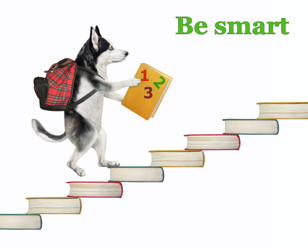 狗哈士奇上楼的书图片下载