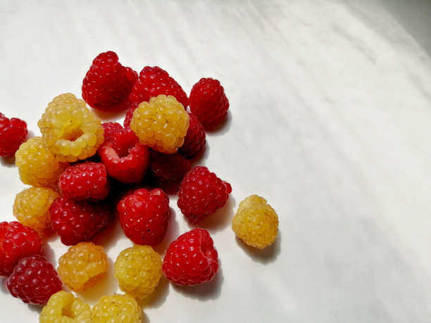 在窗台上的覆盆子间嬉戏图片下载