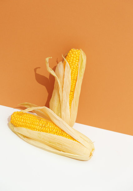 零浪费时尚简约的场景。有机玉米纸背景。环保和再利用的理念。静物画图片下载