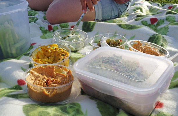 各种蘸酱和鹰嘴豆泥的健康野餐图片下载