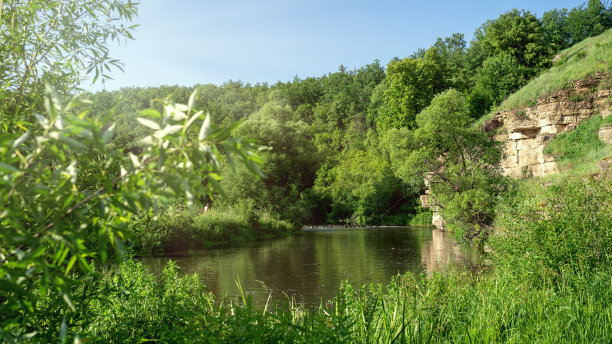 前面有山脉、森林和河流的景观。美丽的风景图片下载