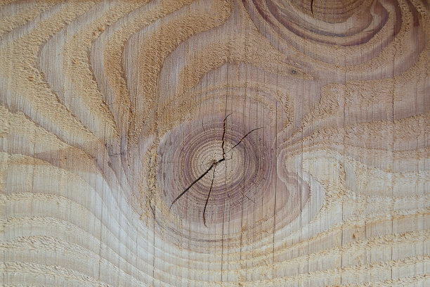 结在道格拉斯杉木木板上。图片下载