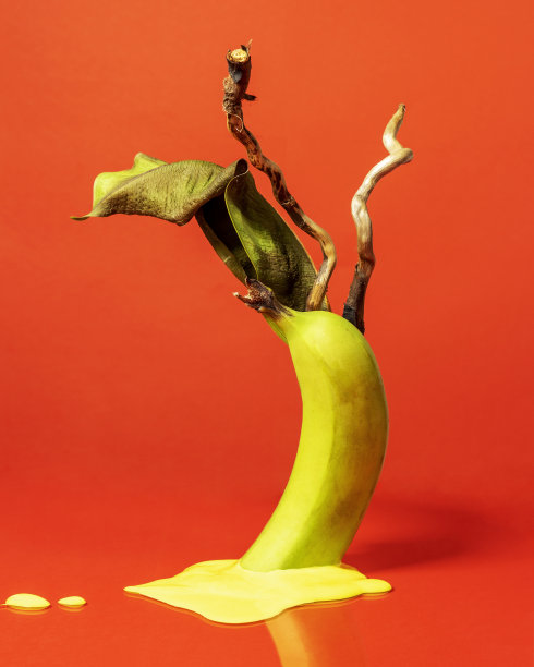 熔融的黄色香蕉与树枝和树叶在红色的背景图片下载