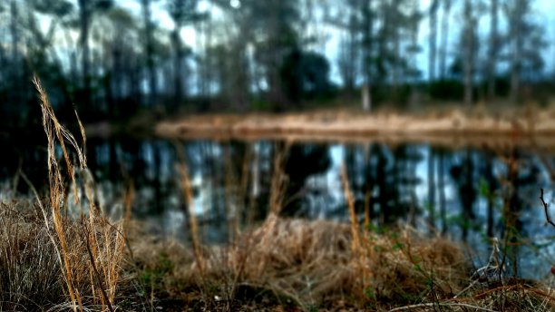 钓鱼去了图片下载