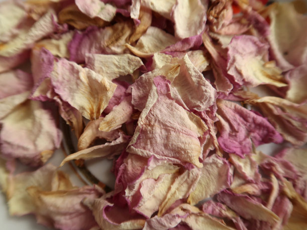 干燥的玫瑰花瓣，粉嫩的浅褐色。图片下载