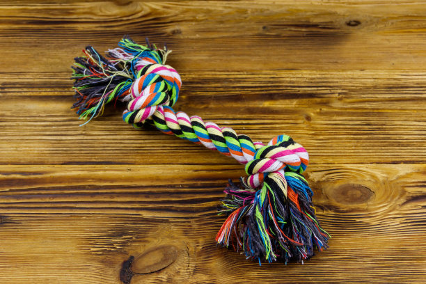 彩色绳子玩具的狗在木制的背景。俯视图图片下载