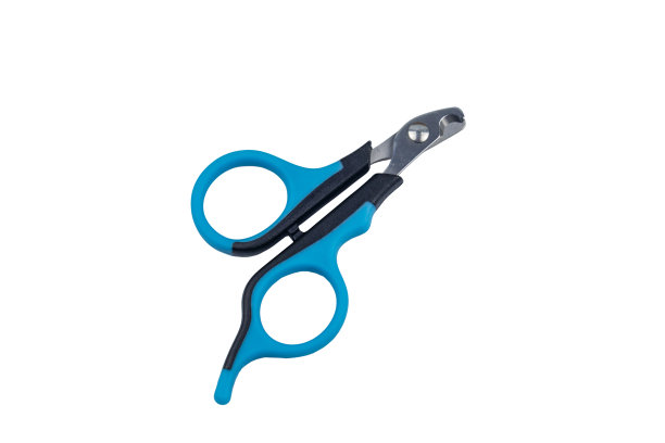 宠物爪剪孤立在白色背景图片下载