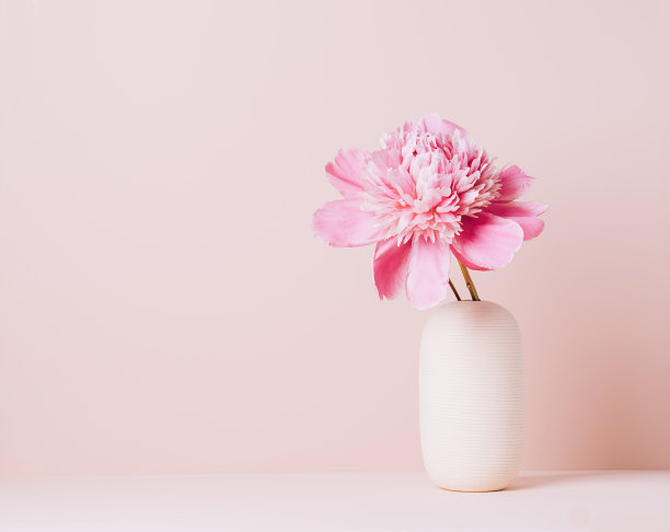 桌上花瓶里插着一朵粉红色的牡丹花，背景是淡粉色的。本空间图片下载