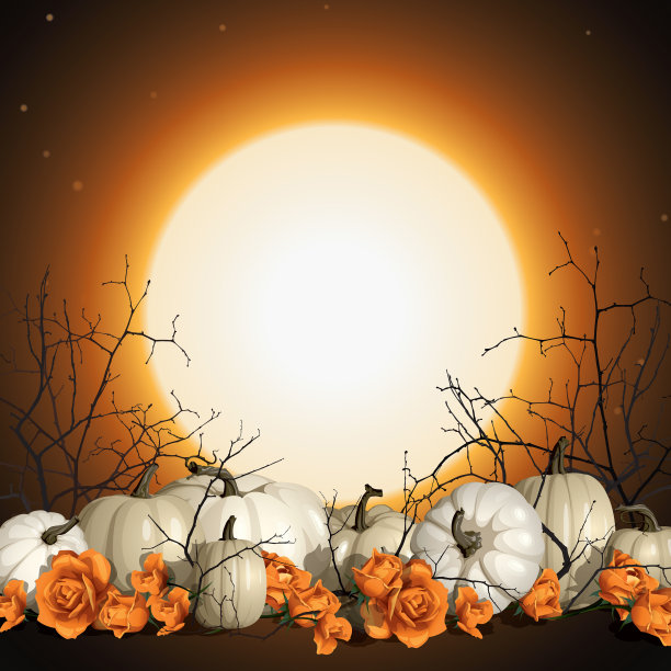 万圣节背景与白色南瓜和橙色玫瑰矢量插图。浪漫而优雅的万圣节背景。图片下载