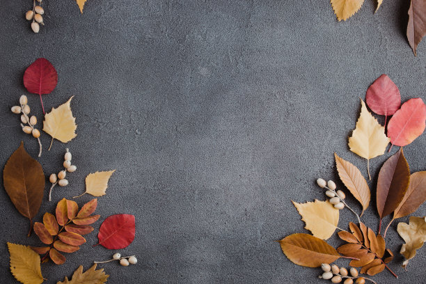 秋花背景，秋黄叶框架图片下载