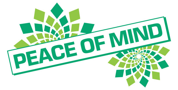 宁静的心花绿松石绿盒子图片下载