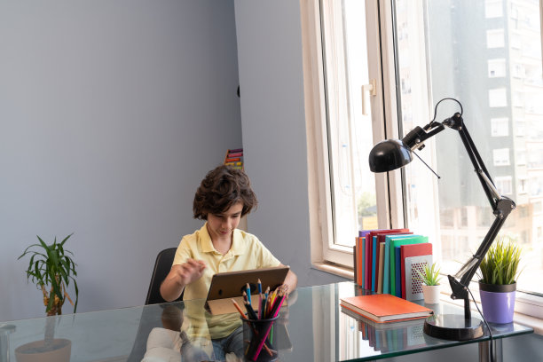 小学男孩在客厅里在家上学图片下载