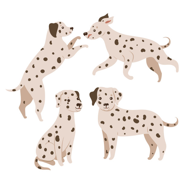 一组达尔马提亚狗孤立在白色背景。矢量图形。图片下载