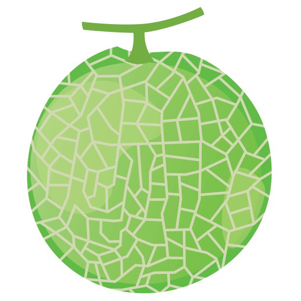 一个网纹甜瓜的插图图片下载