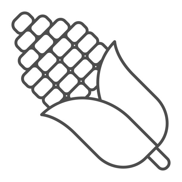 玉米芯细线图标，粮食收获概念，甜糖玉米矢量标志的白色背景，轮廓风格的图标移动概念和网页设计。矢量图形。图片下载