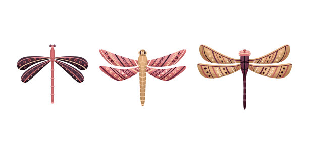 波西米亚风格的扁平蜻蜓向量集。平坦的插图。图片下载