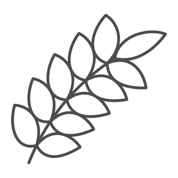 小麦穗细线图标，粮食收获概念，小麦小穗矢量标志的白色背景，轮廓风格图标的移动概念和网页设计。矢量图形。图片下载