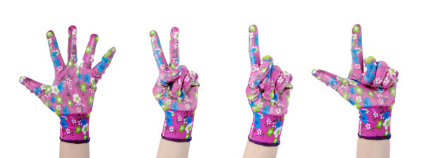 在一个孤立的背景上，一组手势在粉红色花园手套图片下载