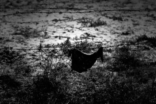 铁丝网图片下载