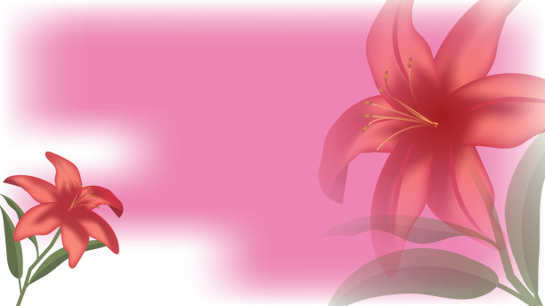 红百合大花凋谢，另一朵小花暗色图片下载