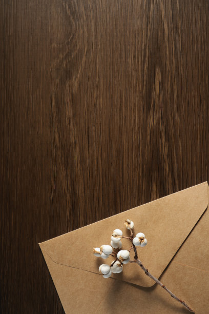 垂直照片的一个字母与一根树枝的中国油脂。图片下载