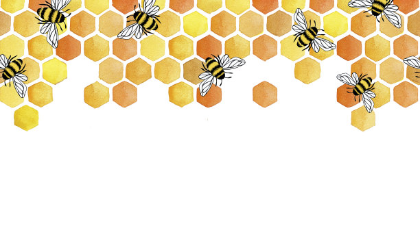 蜂窝和蜜蜂无缝边框。可爱的水彩图案上的主题是蜂蜜，蜜蜂，黄色印花。在白色背景上隔离图片下载