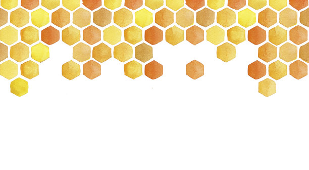 蜂窝和蜜蜂无缝边框。可爱的水彩图案上的主题是蜂蜜，蜜蜂，黄色印花。在白色背景上隔离图片下载