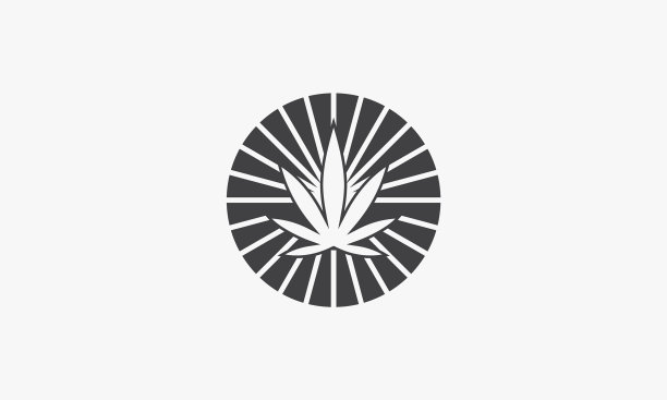 阳光树叶上的白色背景创意图标图片下载