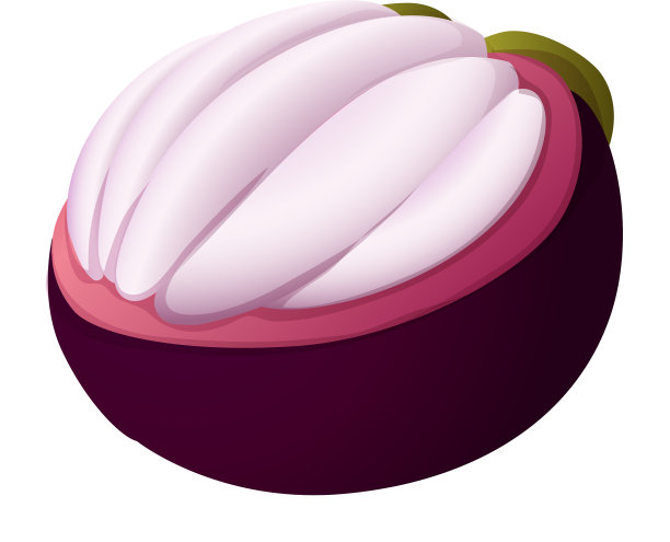 山竹果图标卡通风格图片下载