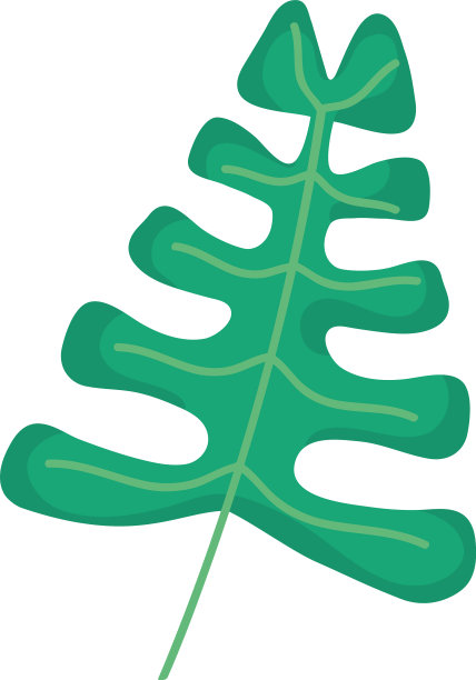 叶棕榈异国情调图片下载