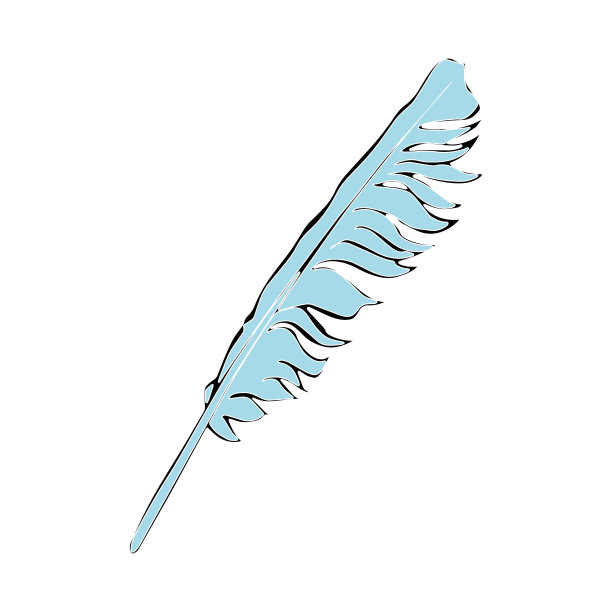 羽毛。笔记本纸。图片下载