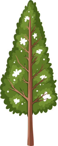 单一的雨林树孤立在白色图片下载