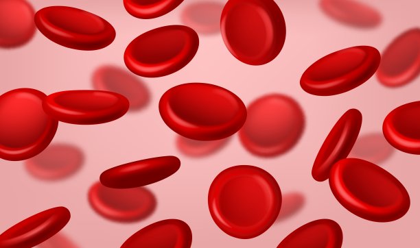 流动的红细胞。真实的红细胞流动背景。静脉或动脉血管内容物。血液学研究。抗体和血红蛋白。血液中结构。向量的概念图片下载