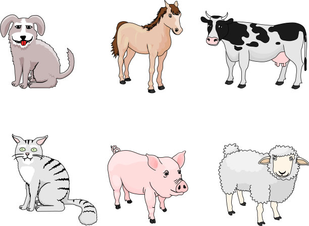 国家动物图片下载