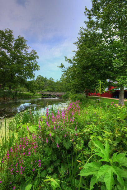 有桥和花的磨坊池塘-埃尔哈特公园图片下载
