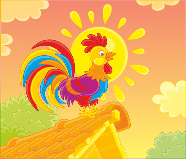 五颜六色的公鸡在黎明歌唱图片下载