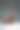 美丽的先进瑜伽师显示她难以置信的灵活性与动物流动在工作室的灰色背景图片下载