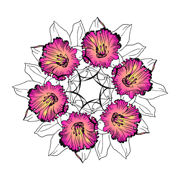 绘有粉红色水仙花的彩色花环图片下载