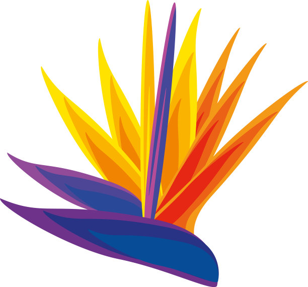 热带奇葩图片下载