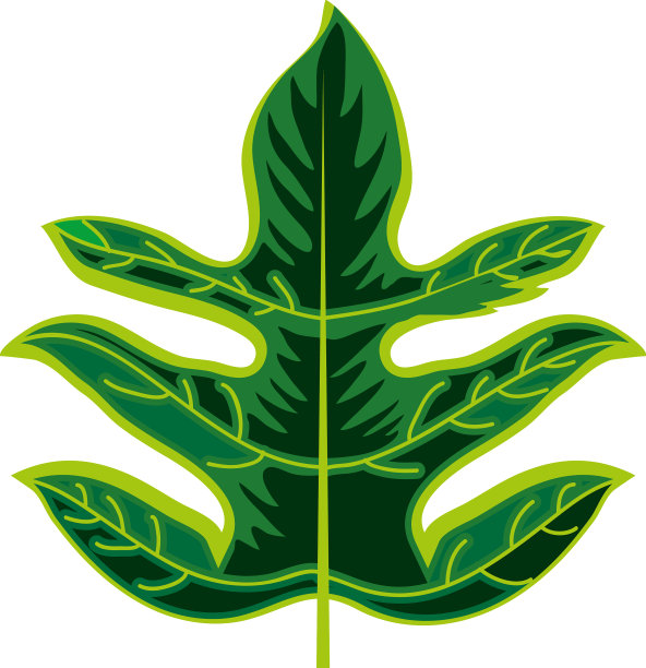 热带棕榈叶图片下载