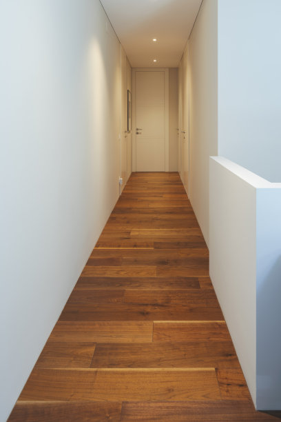 白色走廊与聚光灯在一个时尚的现代家庭。白色的墙壁，非常适合你的文字图片下载