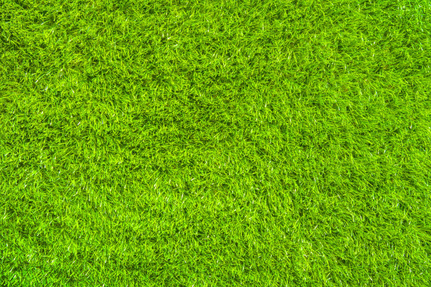 绿草质地，清新自然的背景图片下载